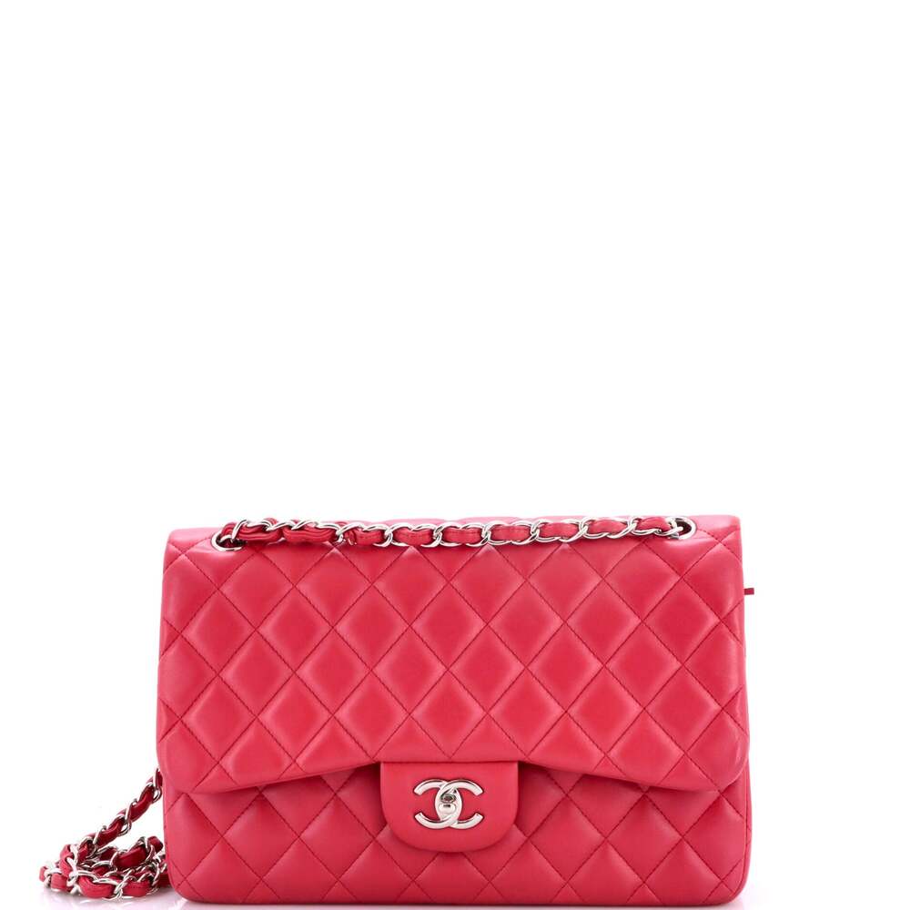 Chanel Classic Double Flap Bag Quilted #301760C49B